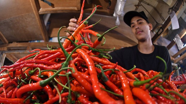 Pedagang mengambil cabai merah keriting untuk ditimbang di Pasar Senen, Jakarta, Rabu (13/7/2022). Foto: Aditya Pradana Putra/ANTARA FOTO