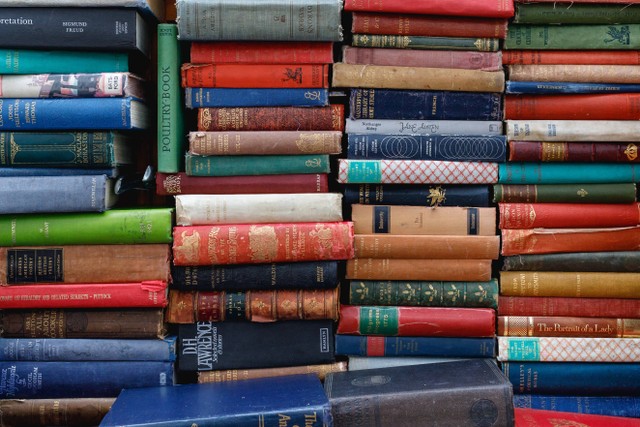 https://unsplash.com/@eddrobertson - klasifikasi bidang ilmu