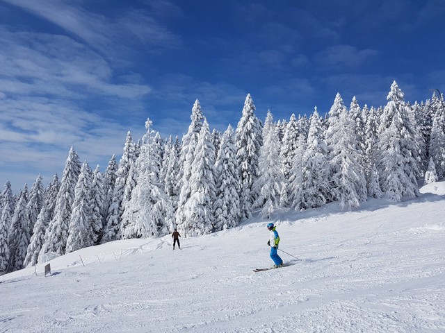 Tempat Bermain Ski di Korea Selatan, Foto ini hanya ilustrasi dan bukan tempat aslinya. Sumber: Unsplash/Hasmik Ghazaryan Olson