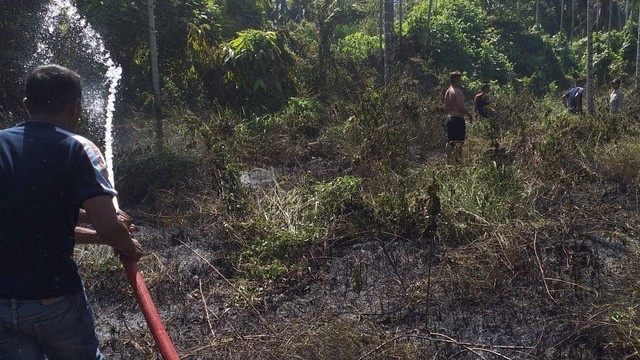 Pemadaman api di lahan pinang yang terbakar di Pidie Jaya, Aceh. Foto: dok. BPBA