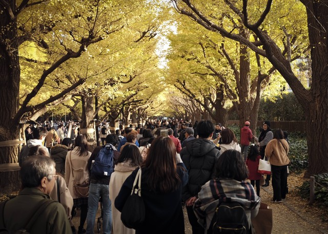 Rekomendasi Tempat Wisata di Tokyo saat Musim Gugur, Foto: Unsplash/Hakan Nural