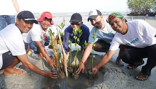 Tim Ecology melakukan penanaman Mangrove di pesisir wilayah Pulau Bintan. Foto: Dok Ecology