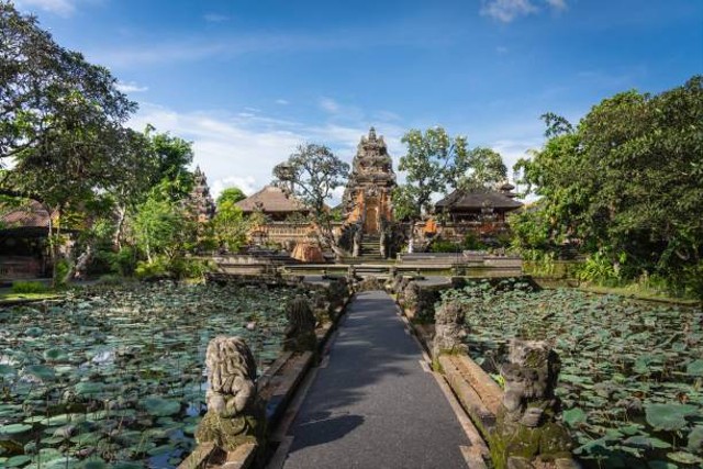Rekomendasi Tempat Outbound di Bali yang Menyenangkan, Foto: Unsplash.