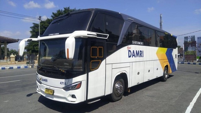 Ilustrasi bus Damri. Foto: Damri