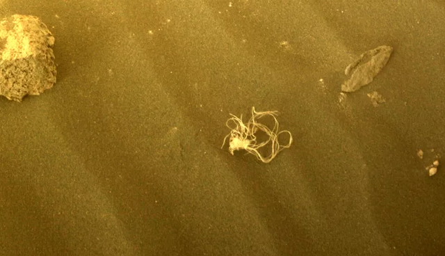 Benda seperti tali kusut atau spageti ditemukan di Mars.  Foto: NASA