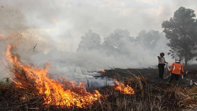 Kebakaran hutan dan lahan di Riau (Foto: Dok BPBD Pekanbaru)