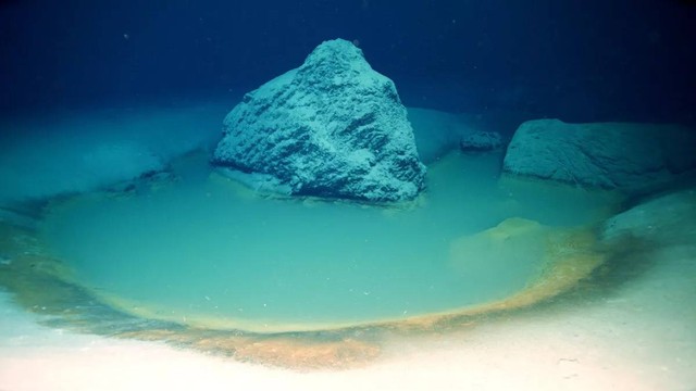 Ilmuwan OceanXploer temukan kolam bawah laut mematikan di dasar Laut Merah. Foto: OceanX