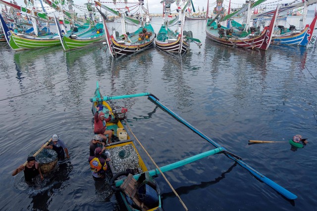 Sejumlah nelayan membongkar muat ikan hasil tangkapan di Pelabuhan Perikanan Nusantara Pengambengan, Jembrana, Bali, Kamis (21/7/2022). Foto: Nyoman Hendra Wibowo/Antara Foto