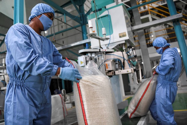 Pekerja Perusahaan Umum Badan Urusan Logistik (BULOG) melakukan pengepakkan beras di Sentra Penggilingan Padi atau Modern Rice Milling Plant (MRMP) di Kendal, Jawa Tengah, Kamis (21/7/2022).  Foto: M Risyal Hidayat/ANTARA FOTO