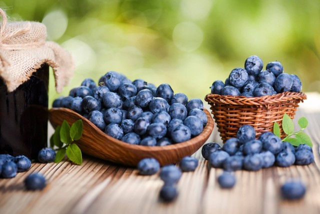 Ilustrasi Blueberry. Foto: Shutterstock