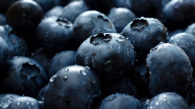 Ilustrasi Blueberry. Foto: Shutterstock