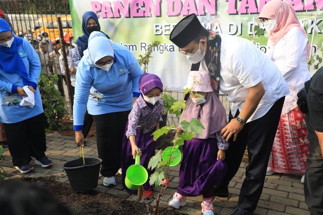 Gubernur DKI Jakarta Anies Rasyid Baswedan kunjungi tempat budidaya anggur di Cilincing, Jakarta Utara, Jumat (22/7) Foto: Humas DKI Jakarta