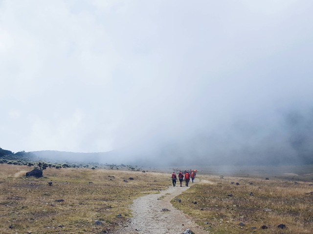 Jalur Pendakian Gunung Gede, https://unsplash.com/@aafim