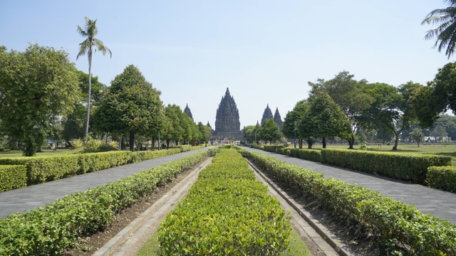 Taman di Jogja, foto unplash, Afif Kusuma