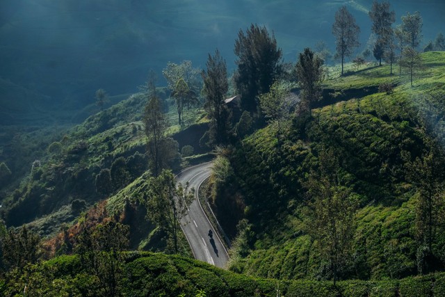 tempat hiking di bandung untuk pemula. sumber foto : unsplash/aldri.