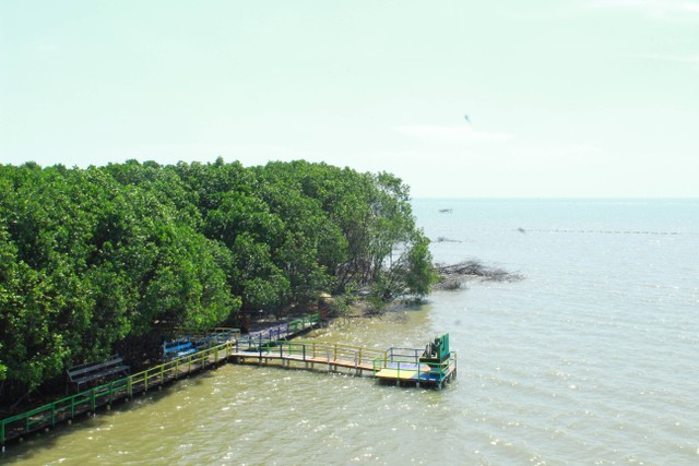 Desa Wisata Mangrove Sari. Foto: Tim KKN-T IPB 2022