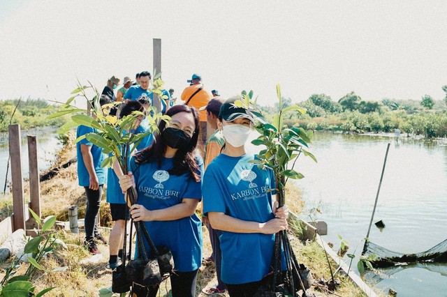 Hari Mangrove Sedunia, Komunitas Karbon Biru Tanam 1.000 Bibit Bakau (8220)
