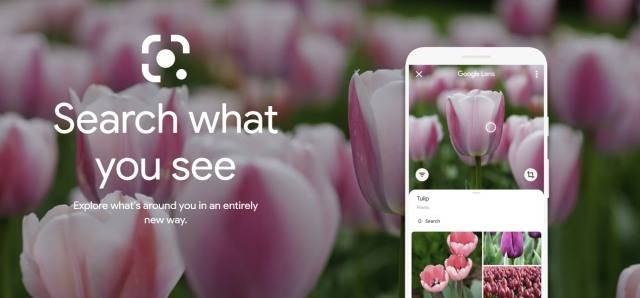 Google Lens. Foto: Dok. Google Lens