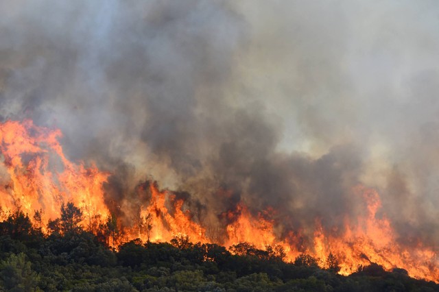Kebakaran hutan di dekat Gignac, Prancis selatan, yang belum padam pada Selasa (26/7/2022). Foto: Sylvain Thomas/AFP