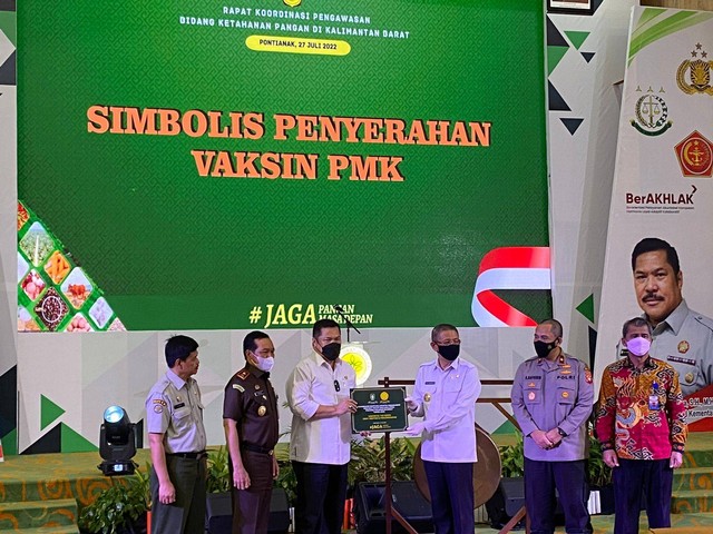 Sebanyak 3.640 ekor ternak di Kalbar sudah divaksi. Foto: Teri/Hi!Pontianak