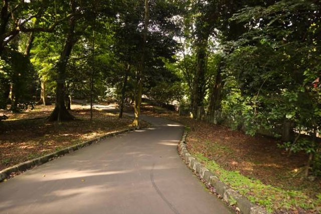 Pintu Masuk Kebun Raya Bogor, Foto: Unsplash.