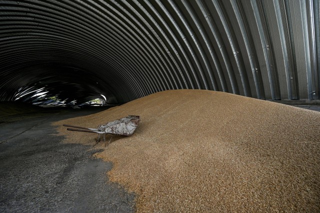 Butir gandum terlihat di dalam gudang yang dihancurkan oleh serangan militer Rusia di desa Yulivka, wilayah Zaporizhzhia, Ukraina. Foto: STR/REUTERS