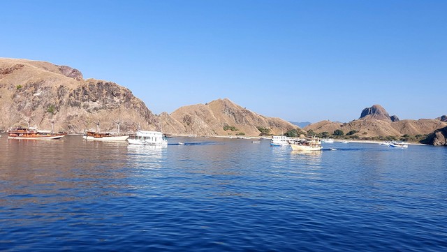 Kapal-kapal yang sedang bersandar di sekitar Pulau Padar, Taman Nasional Komodo, Kamis (28/7). Foto: Gitario Vista Inasis/kumparan