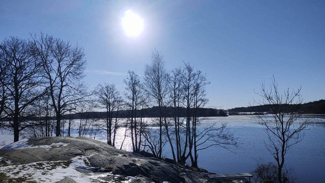 Alam di Swedia saat winter. Sumber: Dokumen Pribadi (Nila).