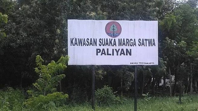 Suaka Margasatwa Paliyan. Foto: BKSDA Yogyakarta