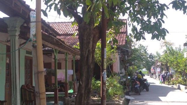 Suasana rumah orang tua Kopda Muslimin di Kendal. Foto: Intan Alliva Khansa/kumparan