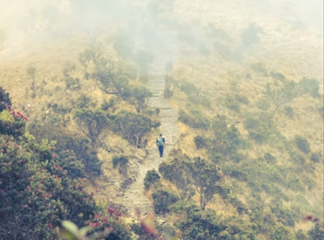 Ilustrasi tradisi naik gunung Lawu. Foto: unsplash.com/sunawang