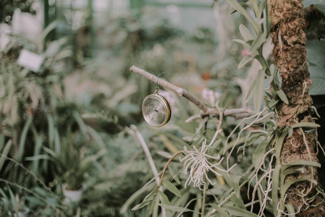 Alat untuk Mengukur Tekanan Udara adalah, Foto Unsplash Eduard Militaru