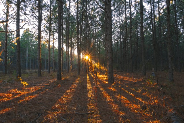 Rekomendasi Tempat Wisata di Jonggol yang Lagi Hits, Foto: Unsplash/Joshua Woroniecki