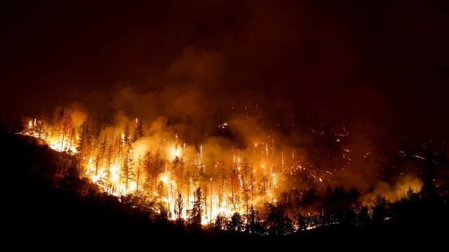 Api membara saat kebakaran hutan di dekat Yreka, California, AS, Sabtu (30/7/2022) Foto: Fred Greaves/REUTERS