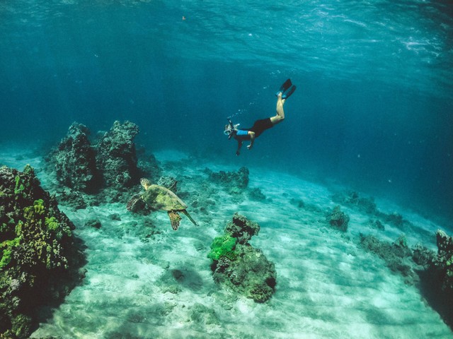 Biaya snorkeling di Jawa Timur, foto unplash, Subtle Cinematics