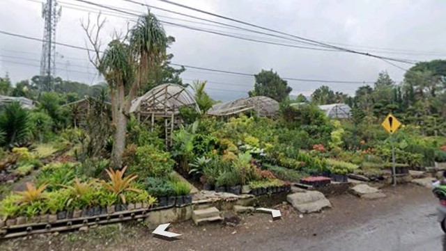 Rekomendasi wisata lembang gratis/taman bunga cihideung, Foto: Google street view