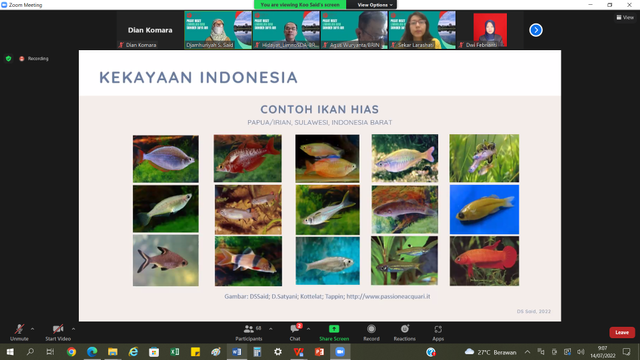 Contoh Ikan Hias Foto Pribadi