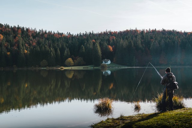 Ilustrasi memancing ikan. Foto: Unsplash