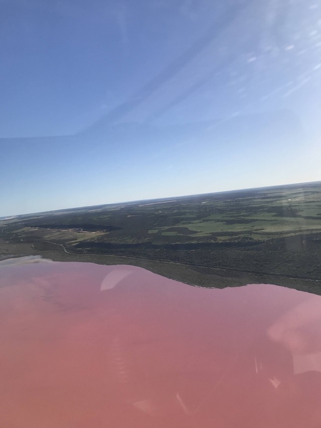 Pink Lake memiliki kadar keasinan 4 kali lipat dari air laut. Foto: Adhie Ichsan/kumparan