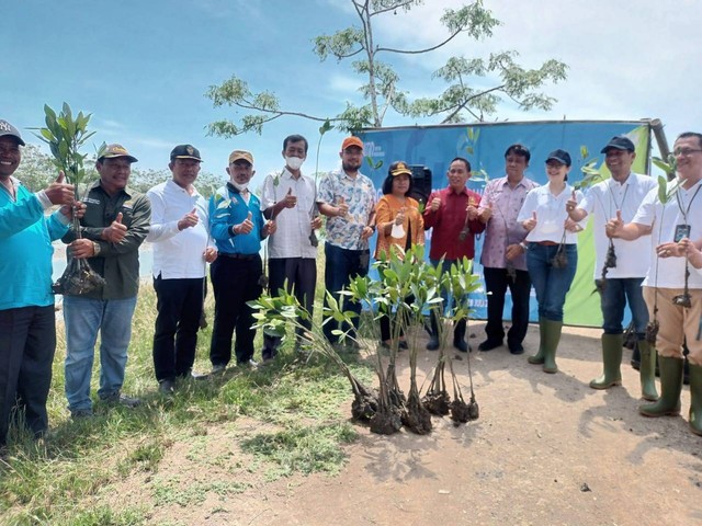 Bersama para nasabahnya, PNM tanam 7000 mangrove di kawasan Pantai Lama, Medan, Sumatera Utara. Foto: Dok. PNM