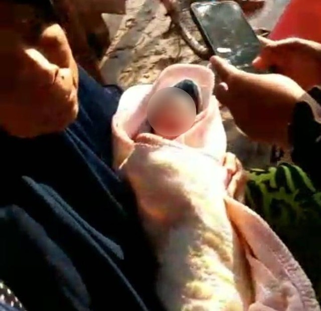 Bayi perempuan yang ditemukan warga di depan rumah di Kelurahan Tanjung Raya, Kecamatan Kedamaian, Kota Bandar Lampung. | Foto: Ist