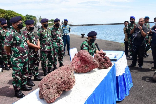 Pangkalan Utama TNI AL (Lantamal) VI Makassar berhasil menggagalkan penyelundupan terumbu karang merah yang berasal dari daerah Sapuka Lompo, Kabupaten Pangkajene Kepulauan (Pangkep) Provinsi Sulawesi Selatan (Sulsel), Kamis (28/07). Foto: Dok. dispenal42 mabesal
