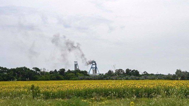Tampaknya, minyak Rusia sebagian diproduksi dari biji Ukraina, salah satu simbol pertanian negara itu.