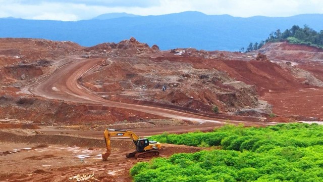 Reklamasi lahan bekas tambang PT Vale Indonesia di Blok Sorowako. Foto: Angga Sukmawijaya/kumparan