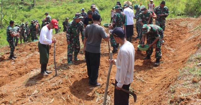 Sejumlah prajurit TNI saat melakukan aksi penanaman bibit tanaman jagung pada lahan seluas 1 hektar di Kuningan, Jabar. (Andri)
