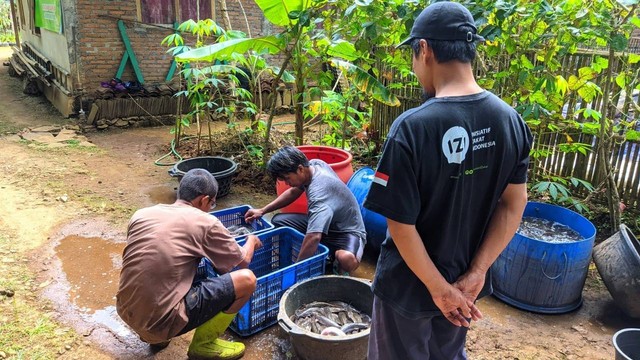 Panen Lele 270 Kg Kolaborasi YAIMKU – IZI Yogyakarta