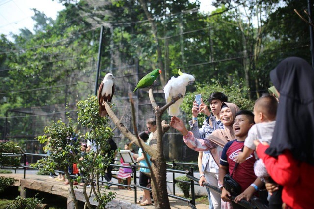 Pengunjung berinteraksi dengan satwa di Kebun Binatang Bandung. Foto: Humas Pemkot Bandung