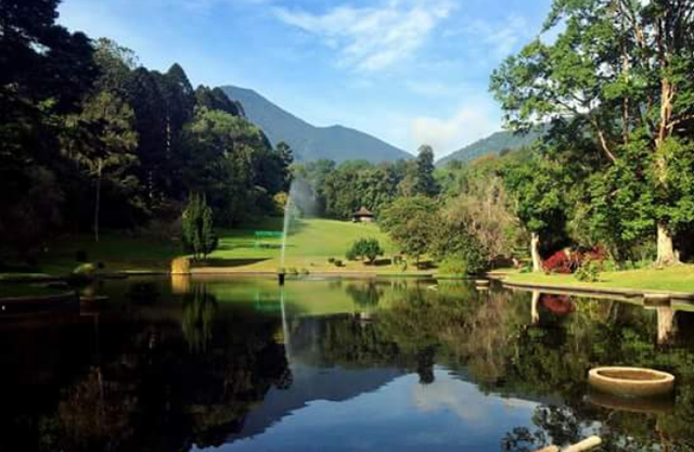 Foto:google street view kebun raya Cibodas