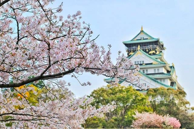Ilustrasi musim semi di Jepang. Foto: Pexels