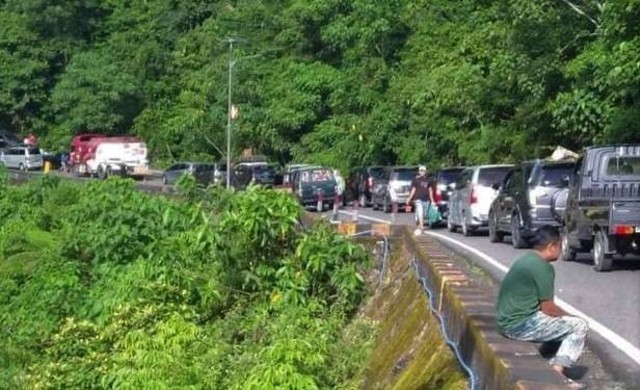 Kondisi kemacetan jalan yang terjadi di jalan Padang - Bukittinggi, akibat pohon tumbang, Minggu 7 Agustus 2022. Foto: facebook/Umi Green